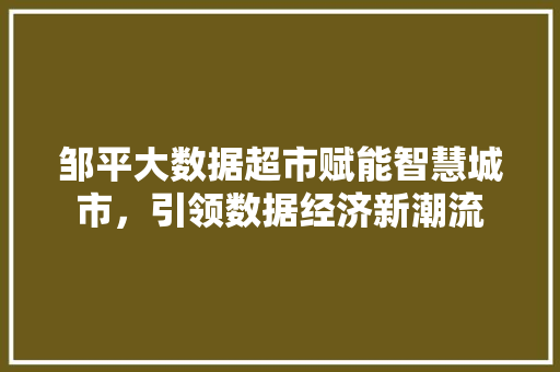 邹平大数据超市赋能智慧城市，引领数据经济新潮流