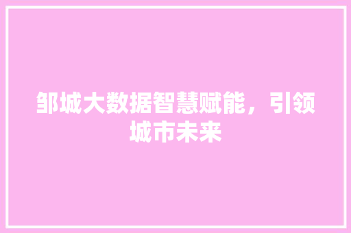 邹城大数据智慧赋能，引领城市未来