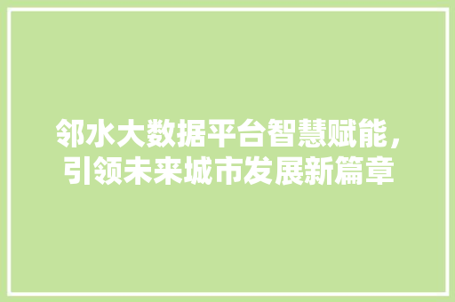 邻水大数据平台智慧赋能，引领未来城市发展新篇章