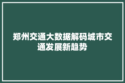 郑州交通大数据解码城市交通发展新趋势