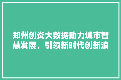 郑州创炎大数据助力城市智慧发展，引领新时代创新浪潮