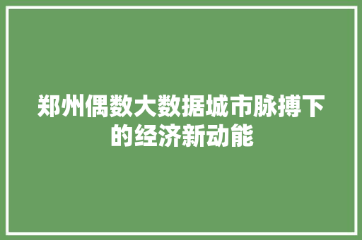 郑州偶数大数据城市脉搏下的经济新动能