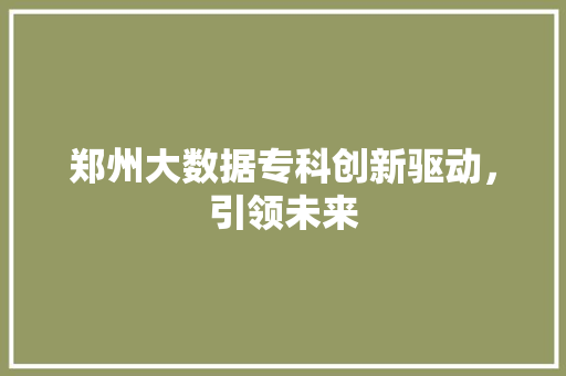 郑州大数据专科创新驱动，引领未来