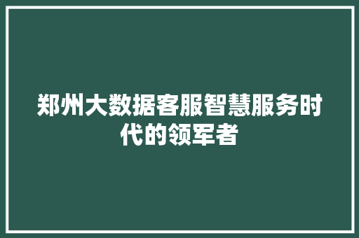 郑州大数据客服智慧服务时代的领军者