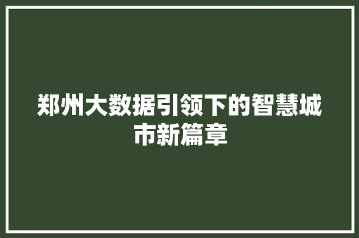 郑州大数据引领下的智慧城市新篇章