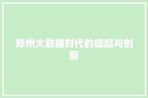 郑州大数据时代的崛起与创新
