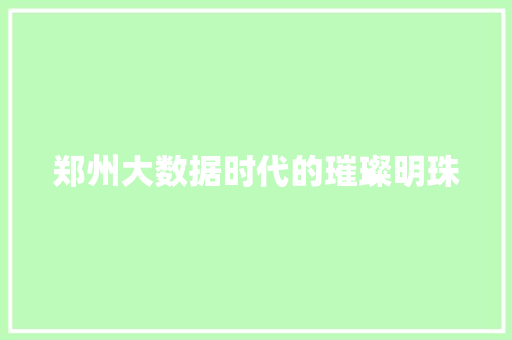 郑州大数据时代的璀璨明珠