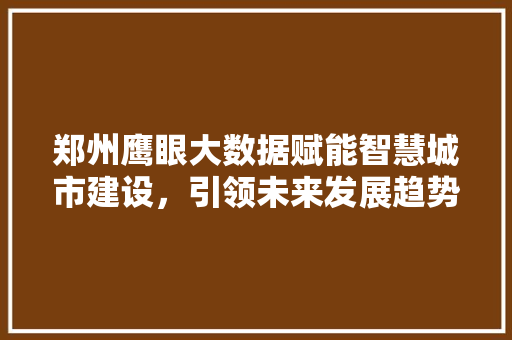 郑州鹰眼大数据赋能智慧城市建设，引领未来发展趋势