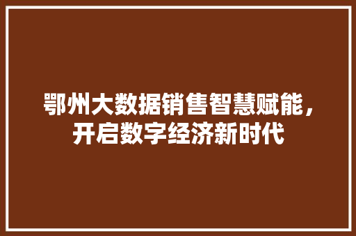 鄂州大数据销售智慧赋能，开启数字经济新时代