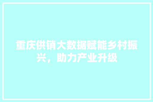 重庆供销大数据赋能乡村振兴，助力产业升级