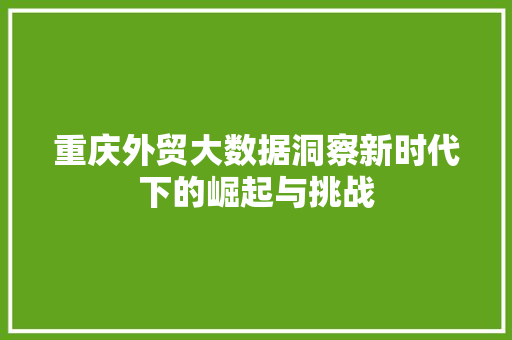 重庆外贸大数据洞察新时代下的崛起与挑战