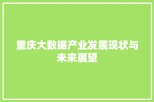 重庆大数据产业发展现状与未来展望
