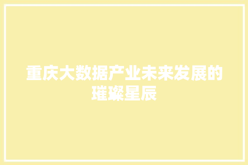 重庆大数据产业未来发展的璀璨星辰