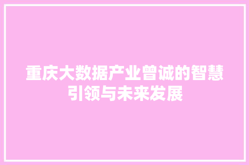 重庆大数据产业曾诚的智慧引领与未来发展
