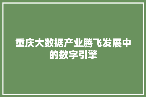 重庆大数据产业腾飞发展中的数字引擎