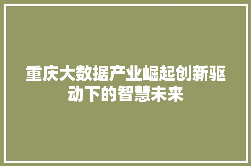 重庆大数据产业崛起创新驱动下的智慧未来