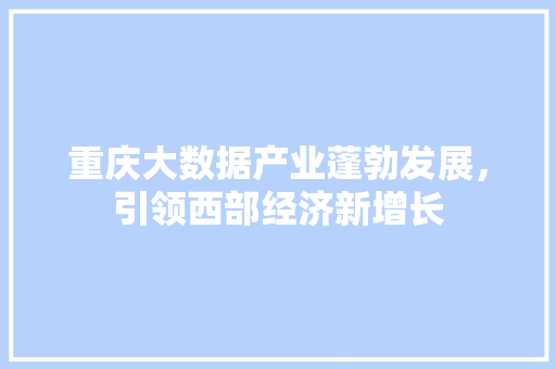 重庆大数据产业蓬勃发展，引领西部经济新增长