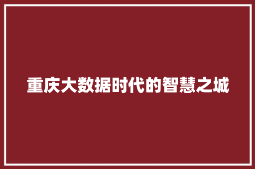 重庆大数据时代的智慧之城