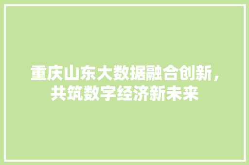 重庆山东大数据融合创新，共筑数字经济新未来