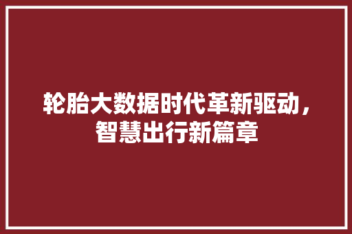 轮胎大数据时代革新驱动，智慧出行新篇章