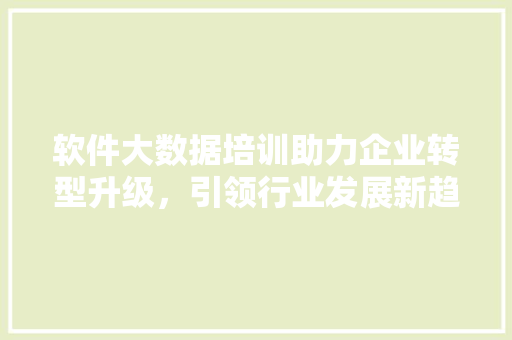 软件大数据培训助力企业转型升级，引领行业发展新趋势