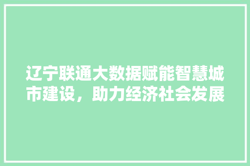 辽宁联通大数据赋能智慧城市建设，助力经济社会发展