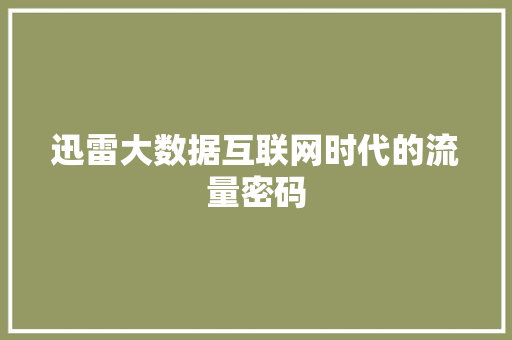迅雷大数据互联网时代的流量密码