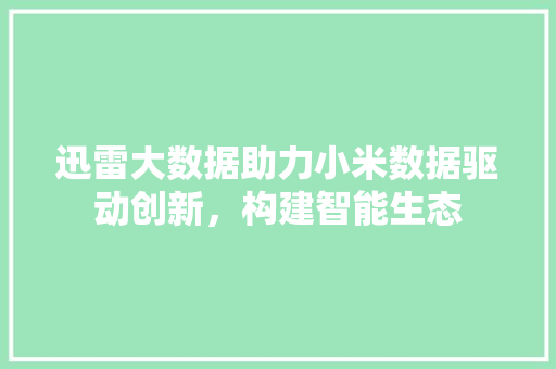 迅雷大数据助力小米数据驱动创新，构建智能生态