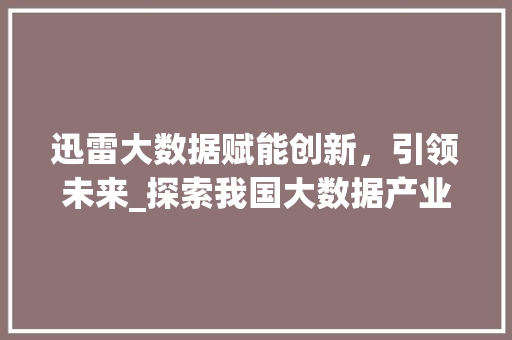 迅雷大数据赋能创新，引领未来_探索我国大数据产业发展的新方向