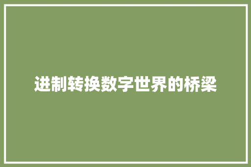 进制转换数字世界的桥梁