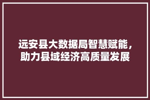 远安县大数据局智慧赋能，助力县域经济高质量发展