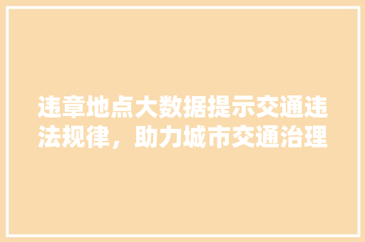 违章地点大数据提示交通违法规律，助力城市交通治理
