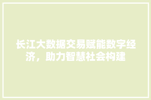 长江大数据交易赋能数字经济，助力智慧社会构建