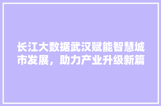 长江大数据武汉赋能智慧城市发展，助力产业升级新篇章