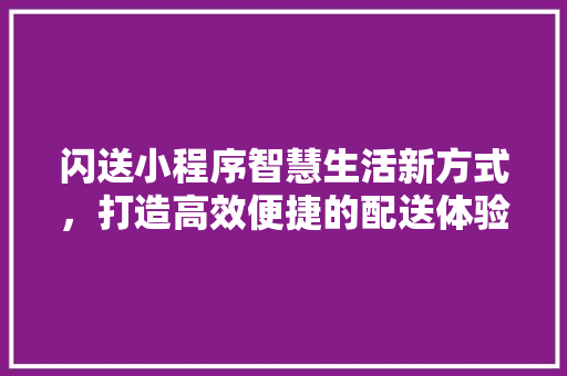 闪送小程序智慧生活新方式，打造高效便捷的配送体验