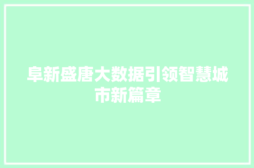 阜新盛唐大数据引领智慧城市新篇章