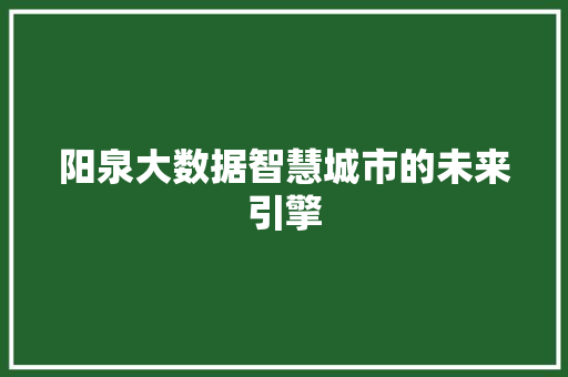 阳泉大数据智慧城市的未来引擎