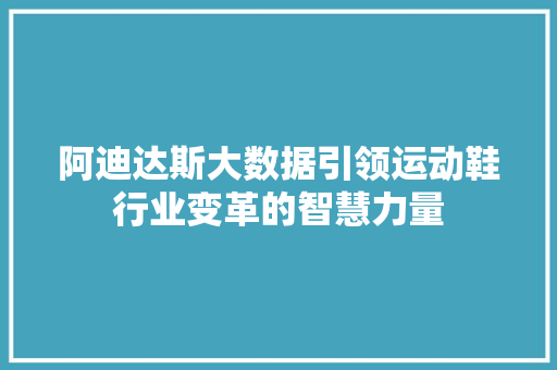 阿迪达斯大数据引领运动鞋行业变革的智慧力量