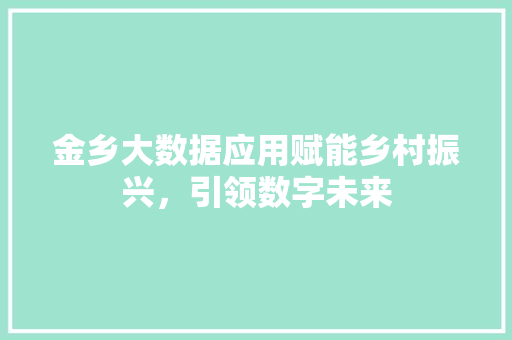 金乡大数据应用赋能乡村振兴，引领数字未来