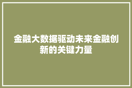 金融大数据驱动未来金融创新的关键力量