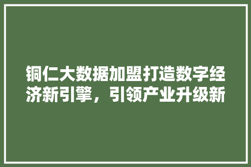 铜仁大数据加盟打造数字经济新引擎，引领产业升级新潮流
