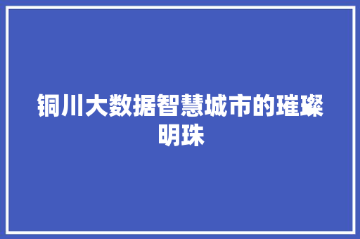 铜川大数据智慧城市的璀璨明珠