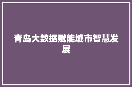 青岛大数据赋能城市智慧发展