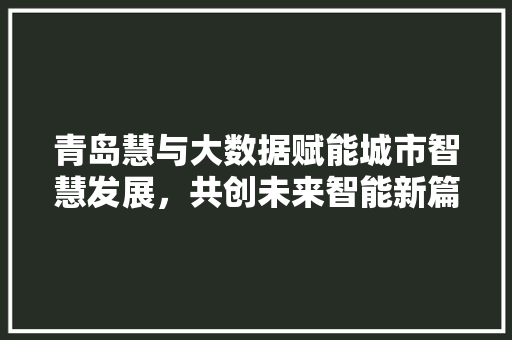 青岛慧与大数据赋能城市智慧发展，共创未来智能新篇