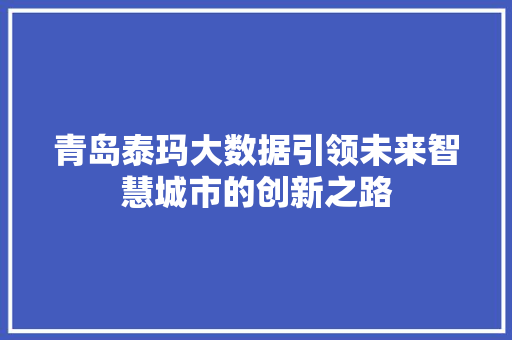 青岛泰玛大数据引领未来智慧城市的创新之路