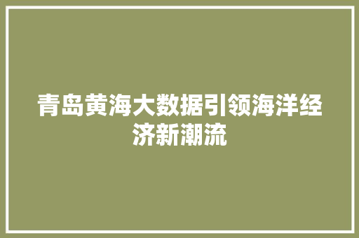 青岛黄海大数据引领海洋经济新潮流