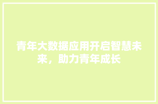 青年大数据应用开启智慧未来，助力青年成长