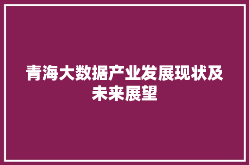 青海大数据产业发展现状及未来展望
