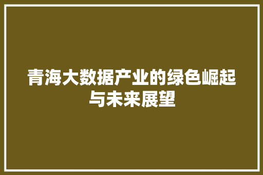 青海大数据产业的绿色崛起与未来展望