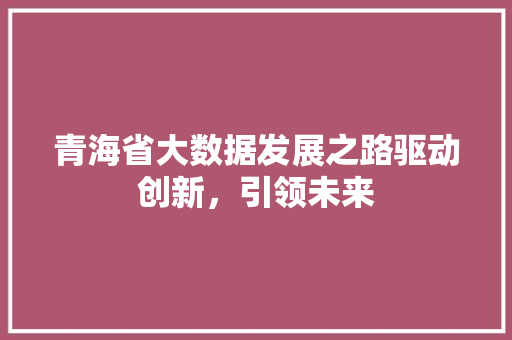 青海省大数据发展之路驱动创新，引领未来
